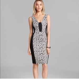 NWT French connection print dress